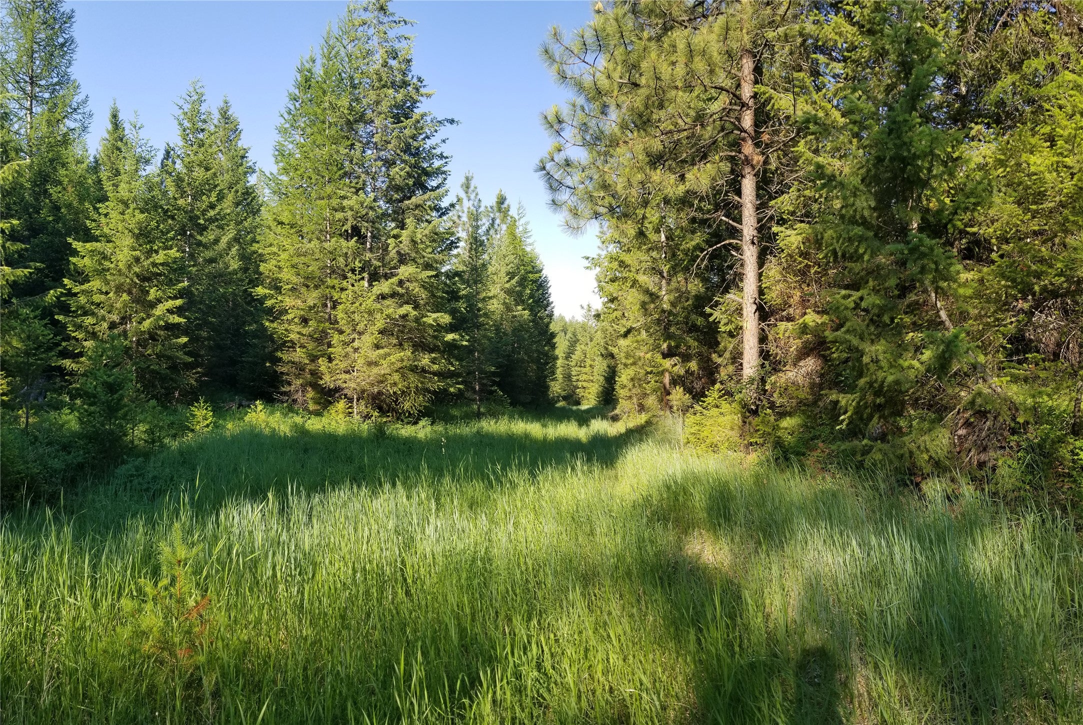 E Half Lot 2A Haywire Gulch