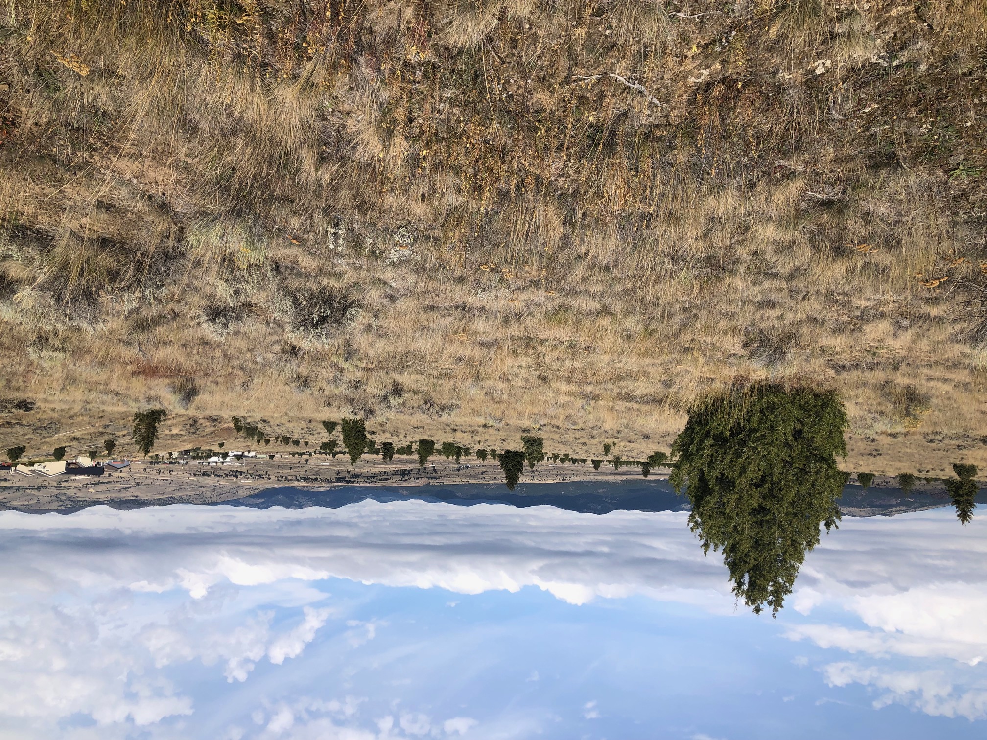 tbd Indian Paint Brush Road