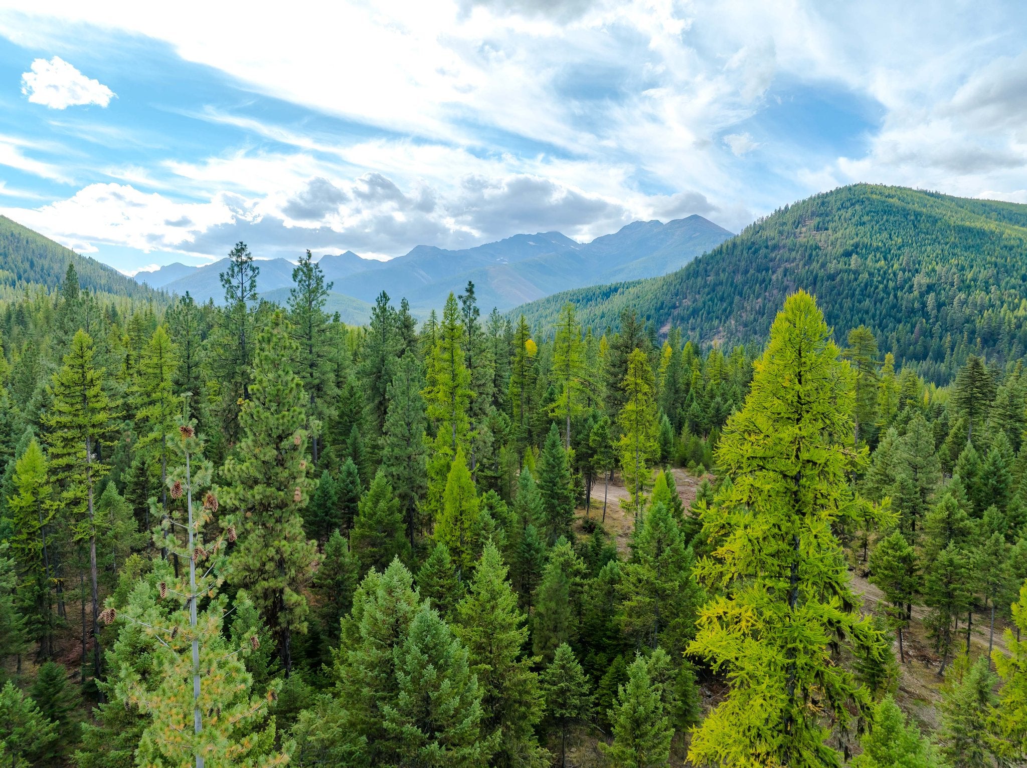 2850 Bear Creek Road