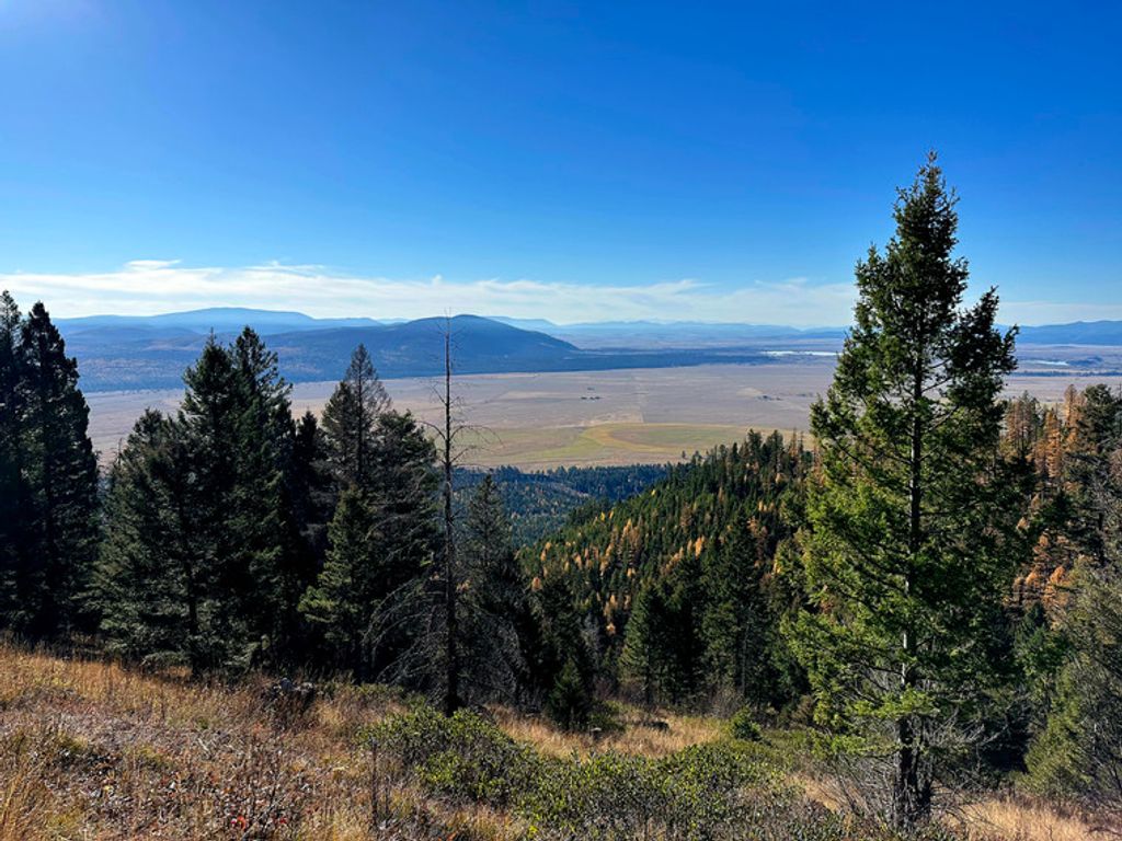 Photo of TBD TBD, Helmville, MT 59843 (MLS # 30068987)