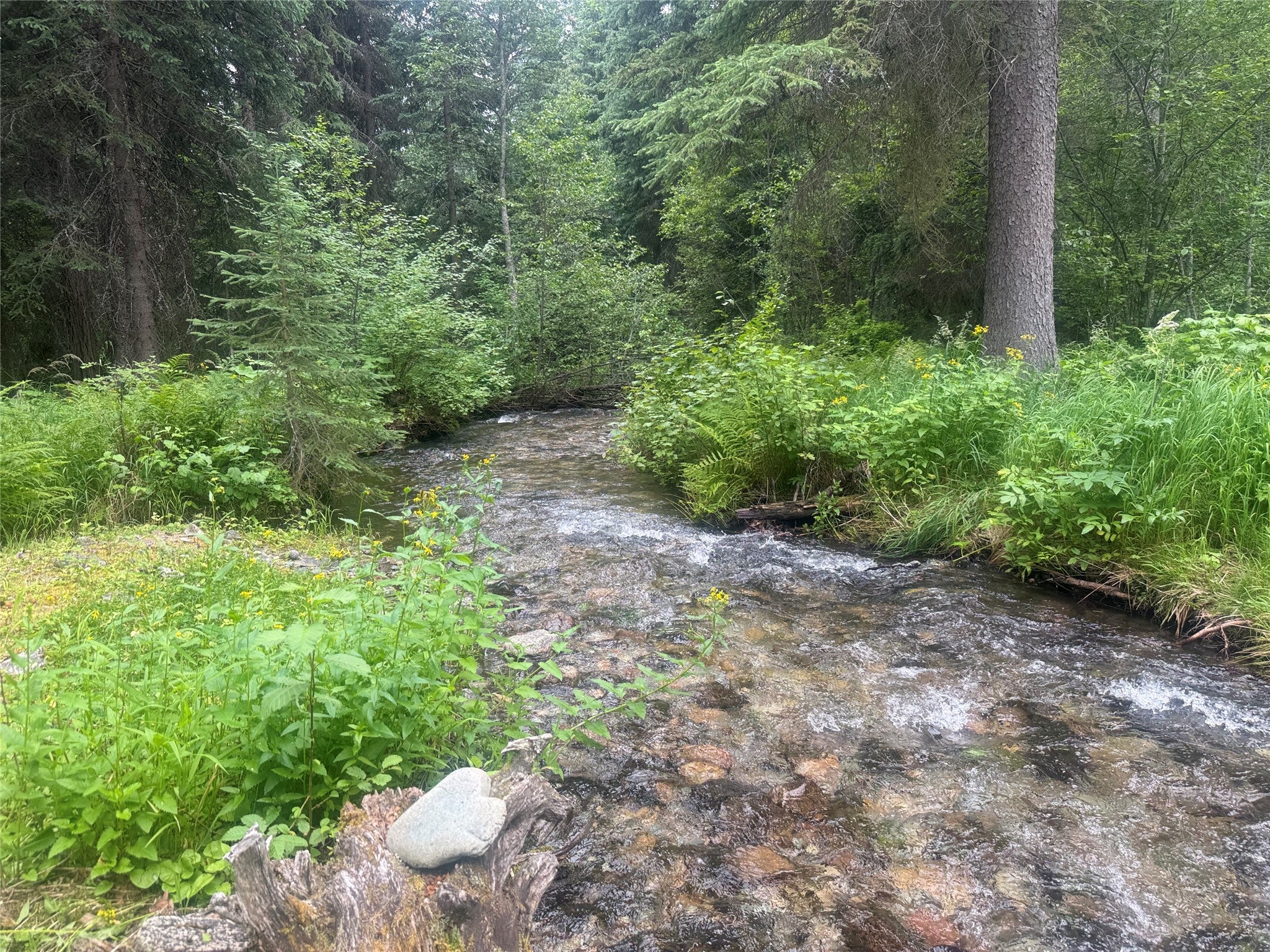 26350 Butler Creek