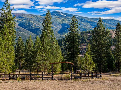 Nhn Bulls & Bucks Ranch Plains MT 59859