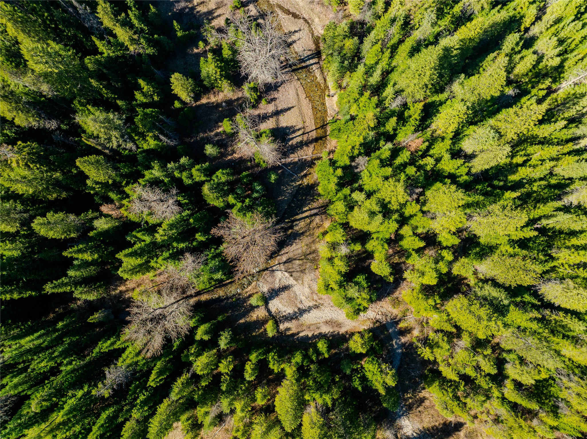 Nhn Pilgrim Creek Road