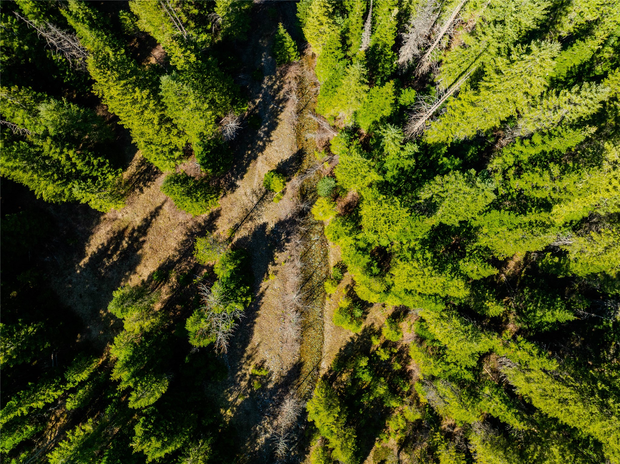 Nhn Pilgrim Creek Road