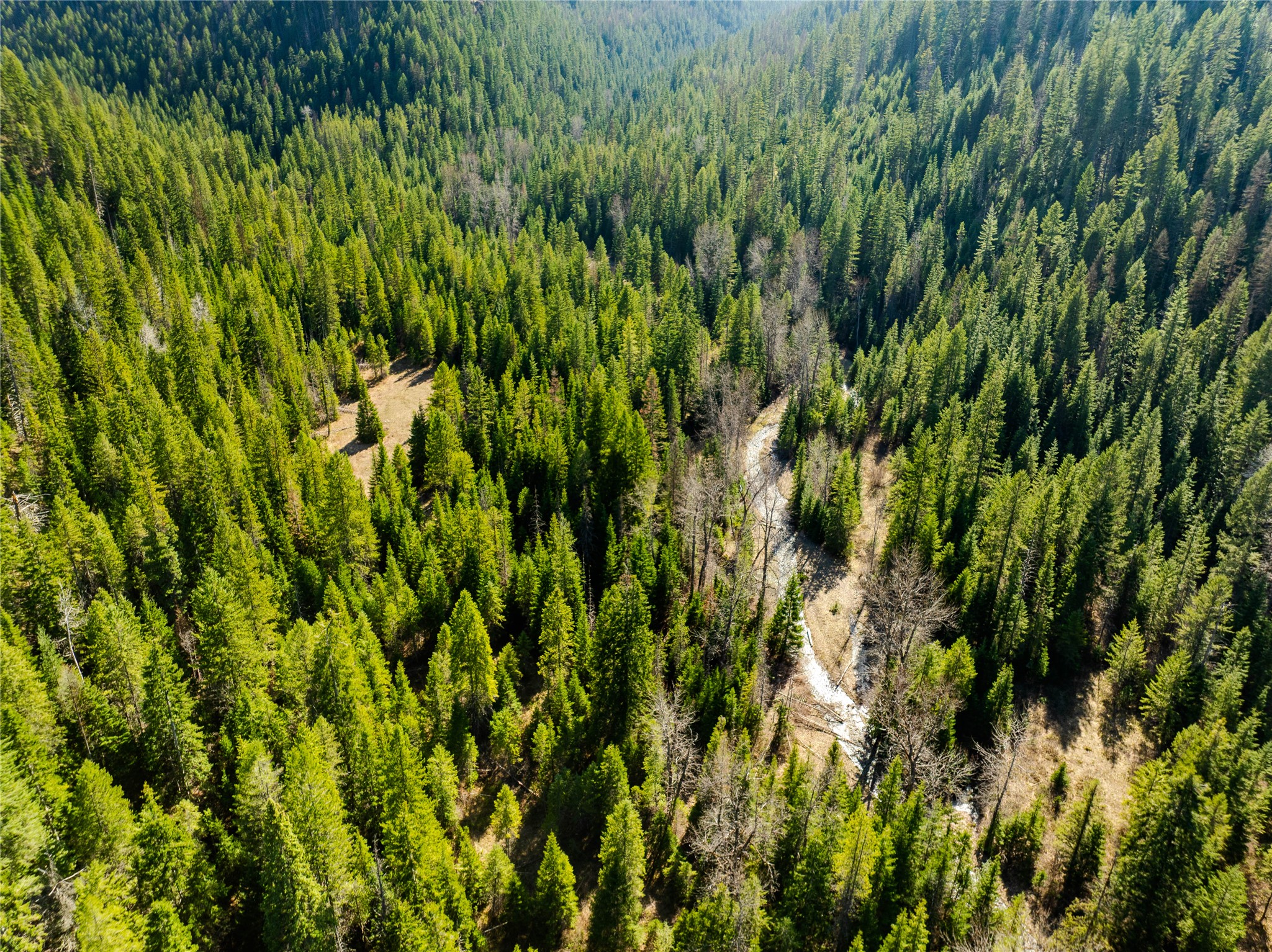 Nhn Pilgrim Creek Road
