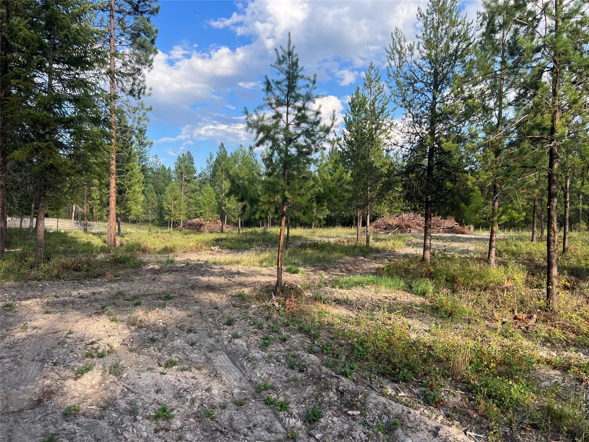 TBD Granite Lake Road 2