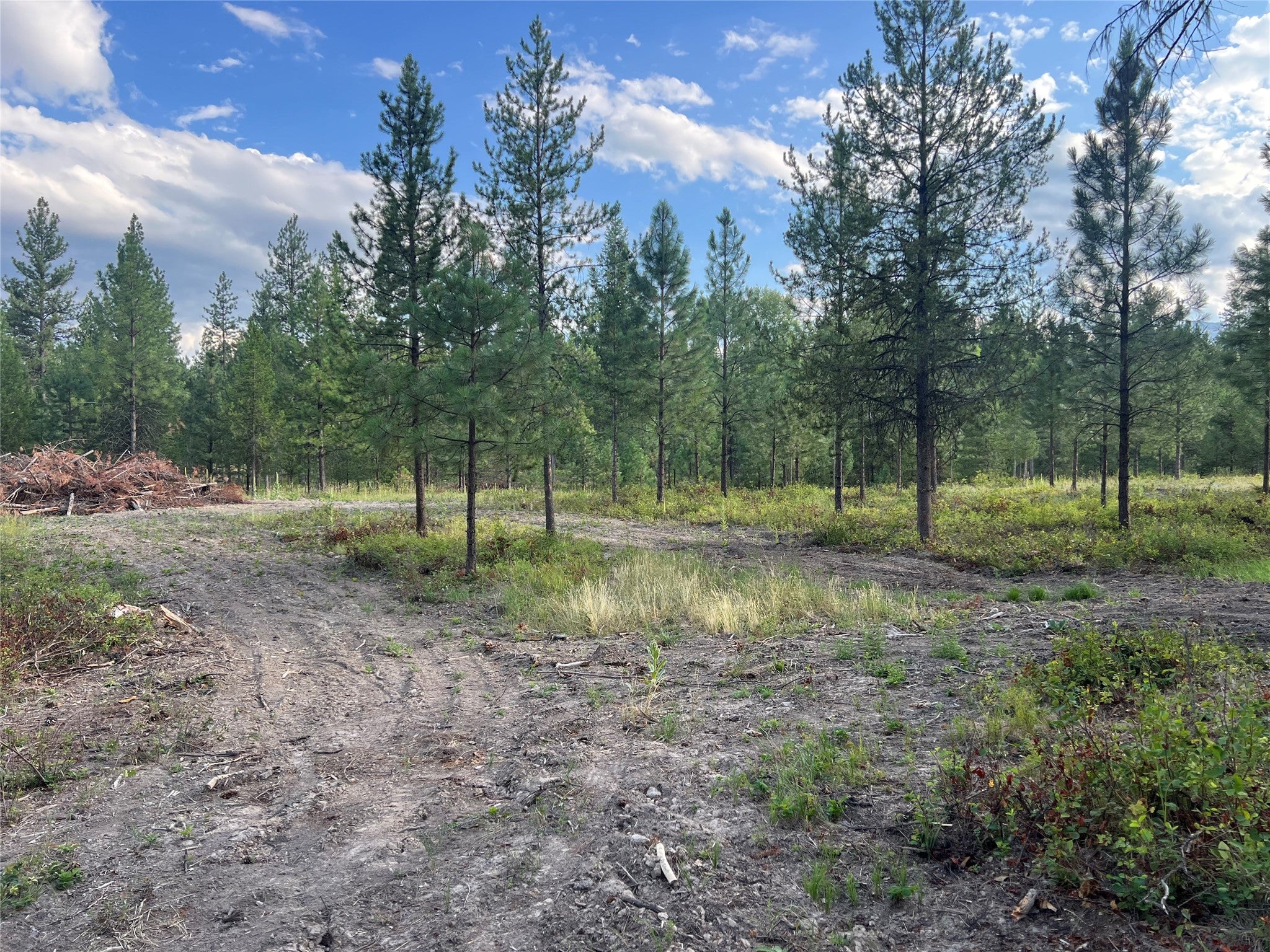 TBD Granite Lake Road 2