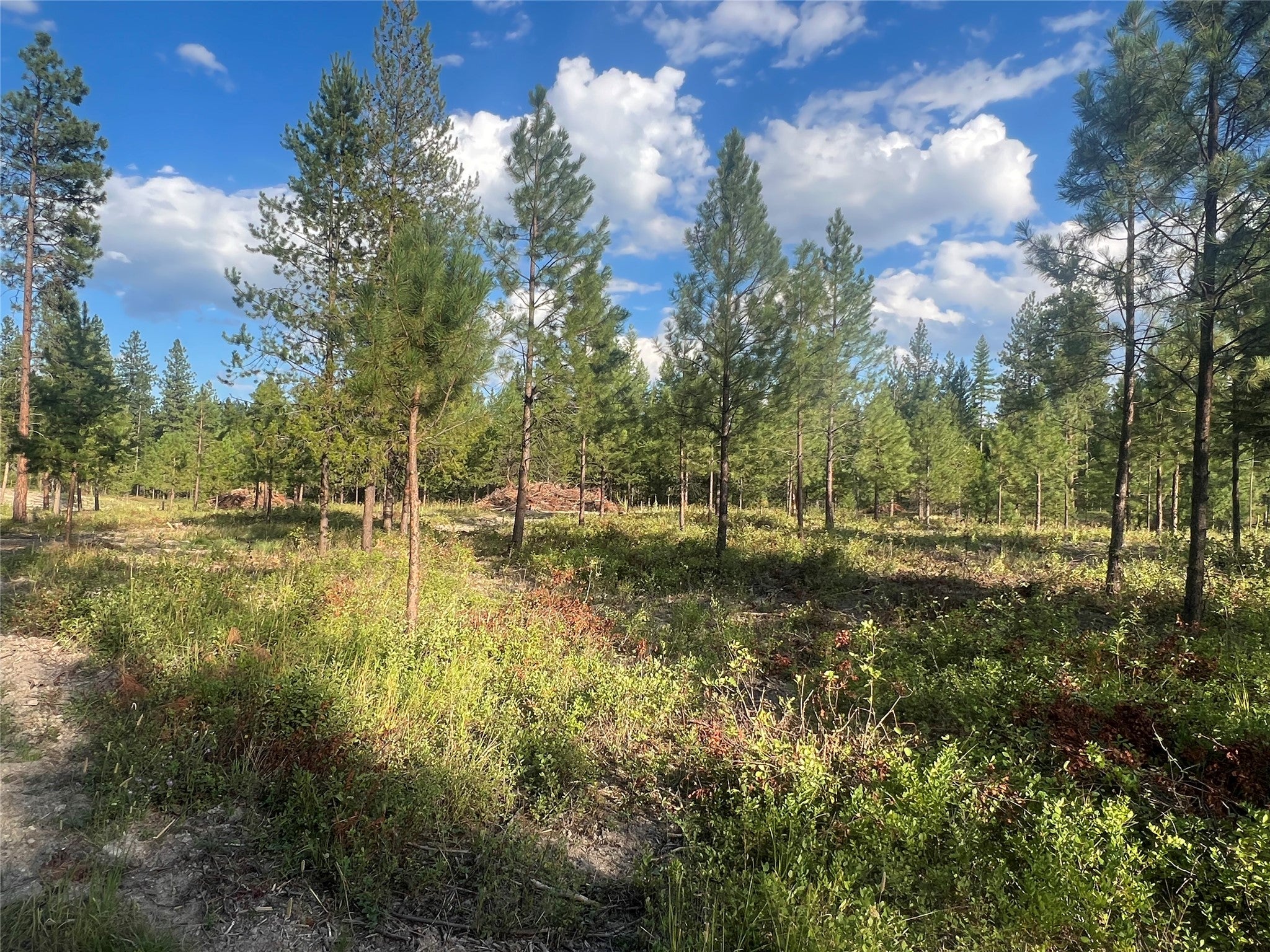 TBD Granite Lake Road 2