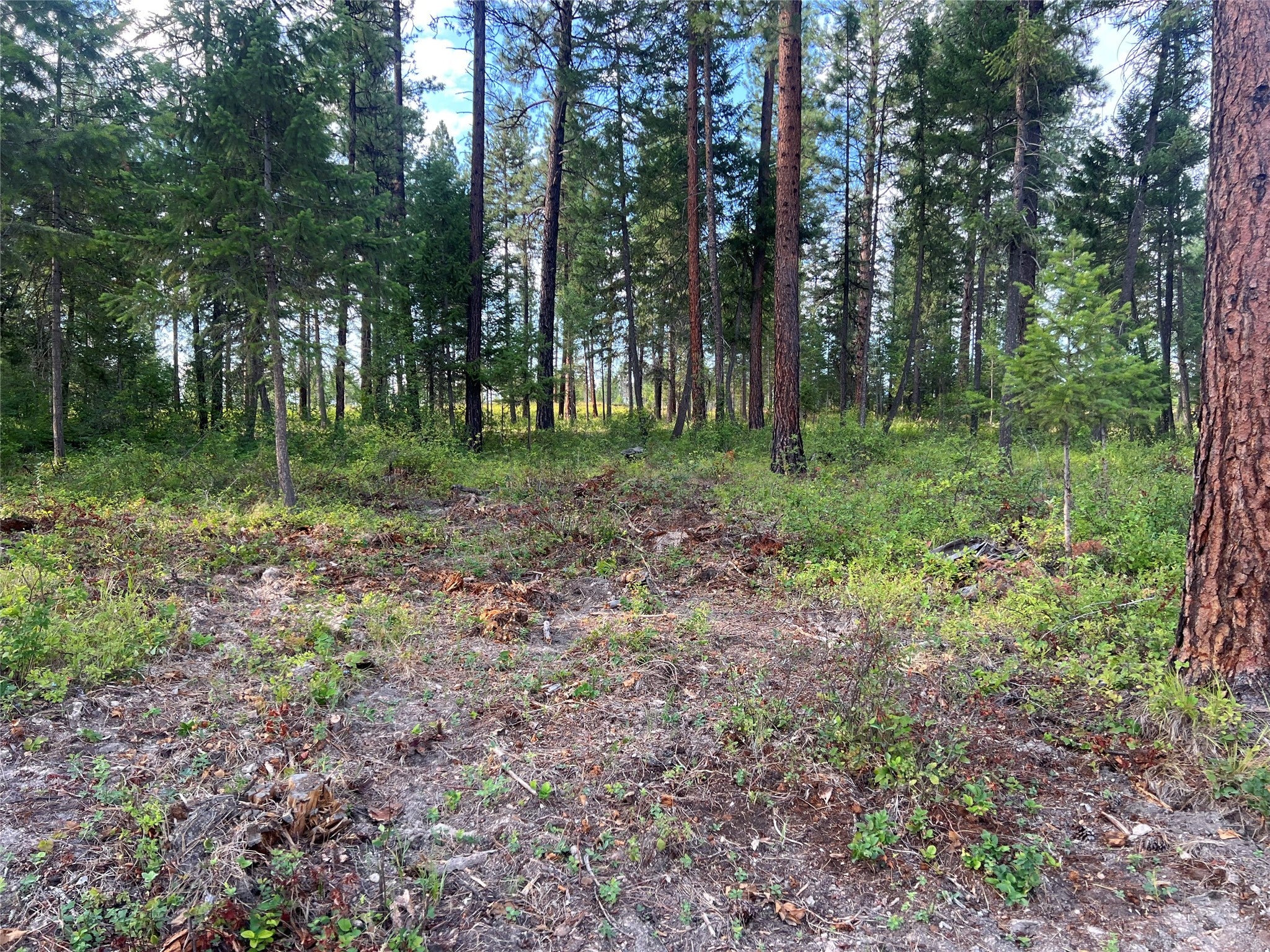 TBD Granite Lake Road 2
