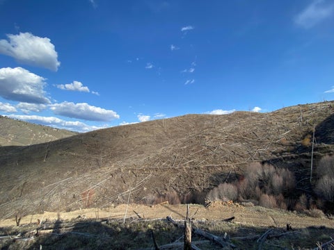 Tiny photo for -- Hwy 93 ST S, Conner, MT 59827 (MLS # 30072219)
