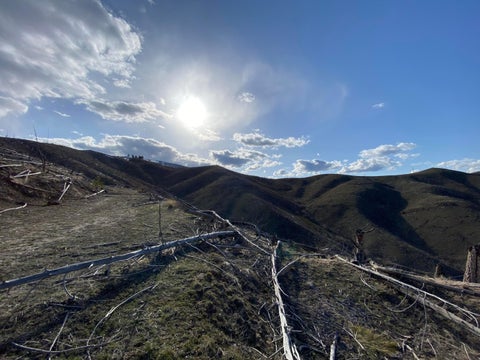 Tiny photo for -- Hwy 93 ST S, Conner, MT 59827 (MLS # 30072219)