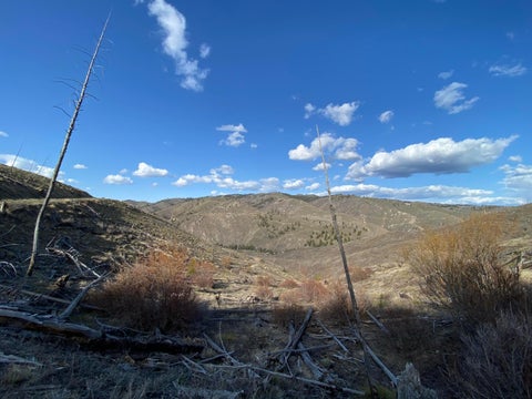 Tiny photo for -- Hwy 93 ST S, Conner, MT 59827 (MLS # 30072219)