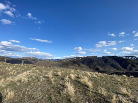 Tiny photo for -- Hwy 93 ST S, Conner, MT 59827 (MLS # 30072219)