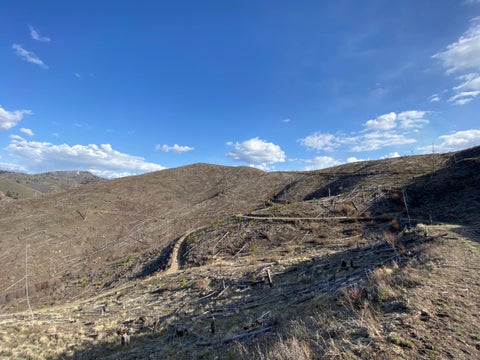 Tiny photo for -- Hwy 93 ST S, Conner, MT 59827 (MLS # 30072219)