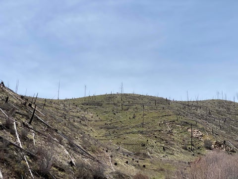 Tiny photo for -- Hwy 93 ST S, Conner, MT 59827 (MLS # 30072219)