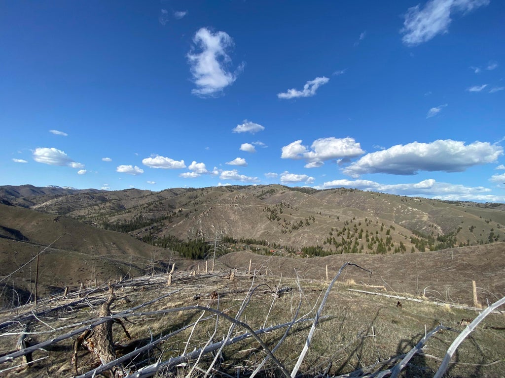 Photo of -- Hwy 93 ST S, Conner, MT 59827 (MLS # 30072219)