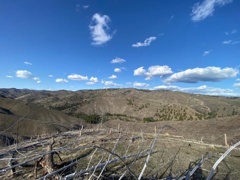 Tiny photo for -- Hwy 93 ST S, Conner, MT 59827 (MLS # 30072219)