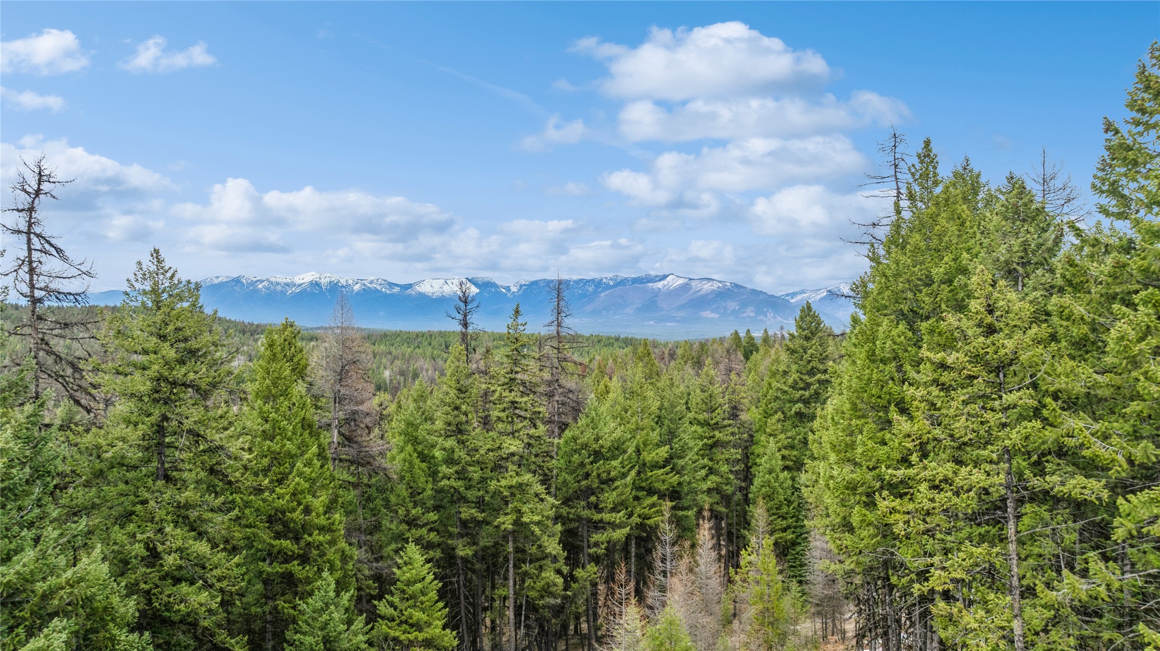 418 Coyote Ridge Pass Road