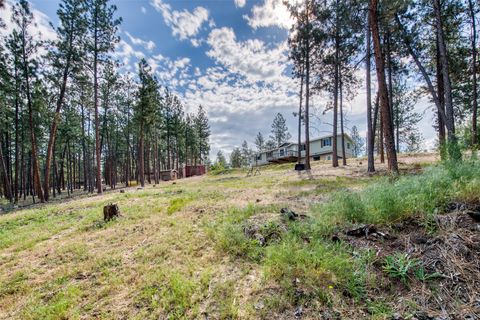 Tiny photo for 845 Pineview Drive, Stevensville, MT 59870 (MLS # 30068376)