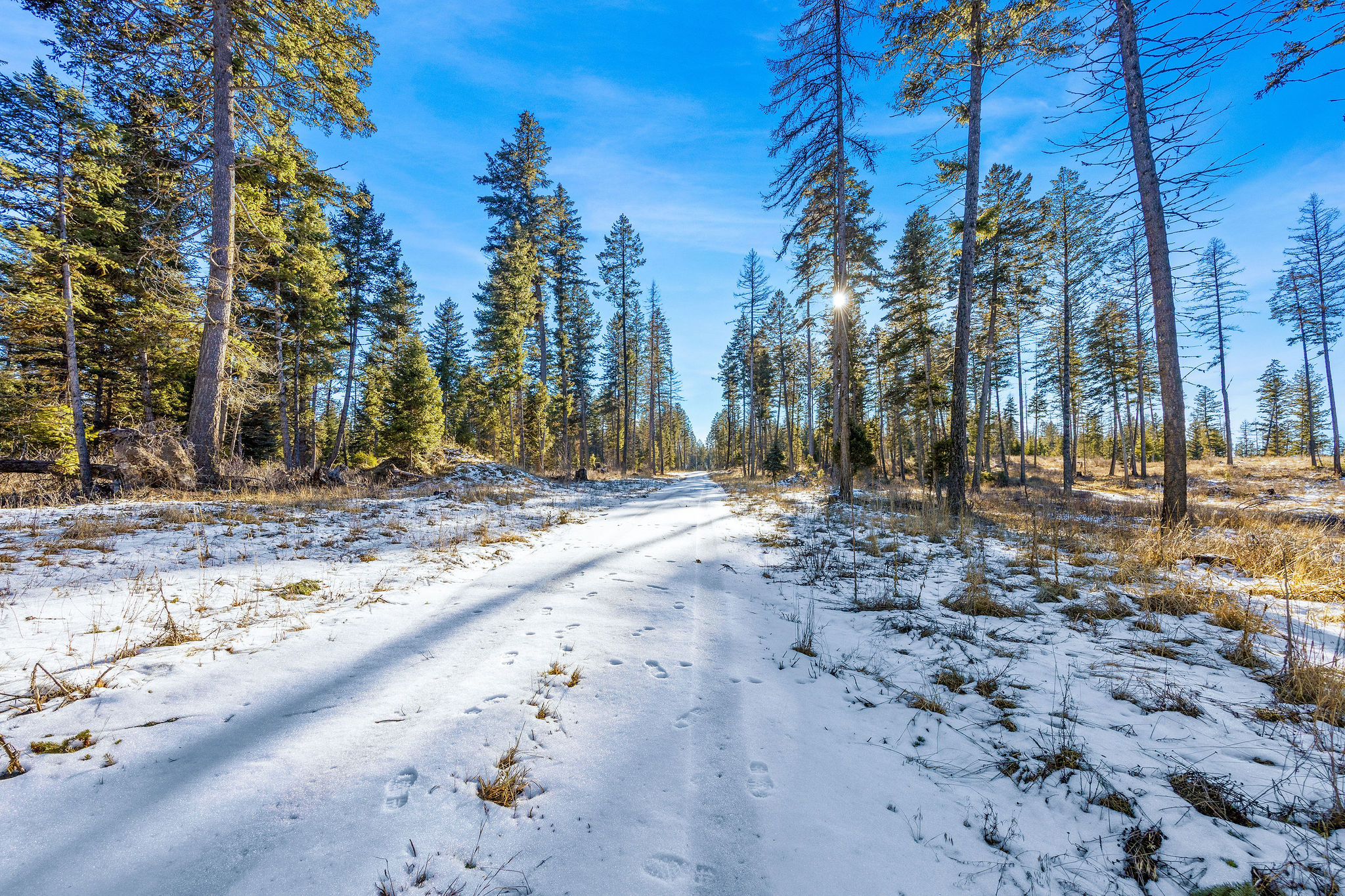 Nhn N Dayton Creek Road