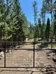 Tiny photo for 506 Badger Hollow Trail, Marion, MT 59925 (MLS # 30073676)