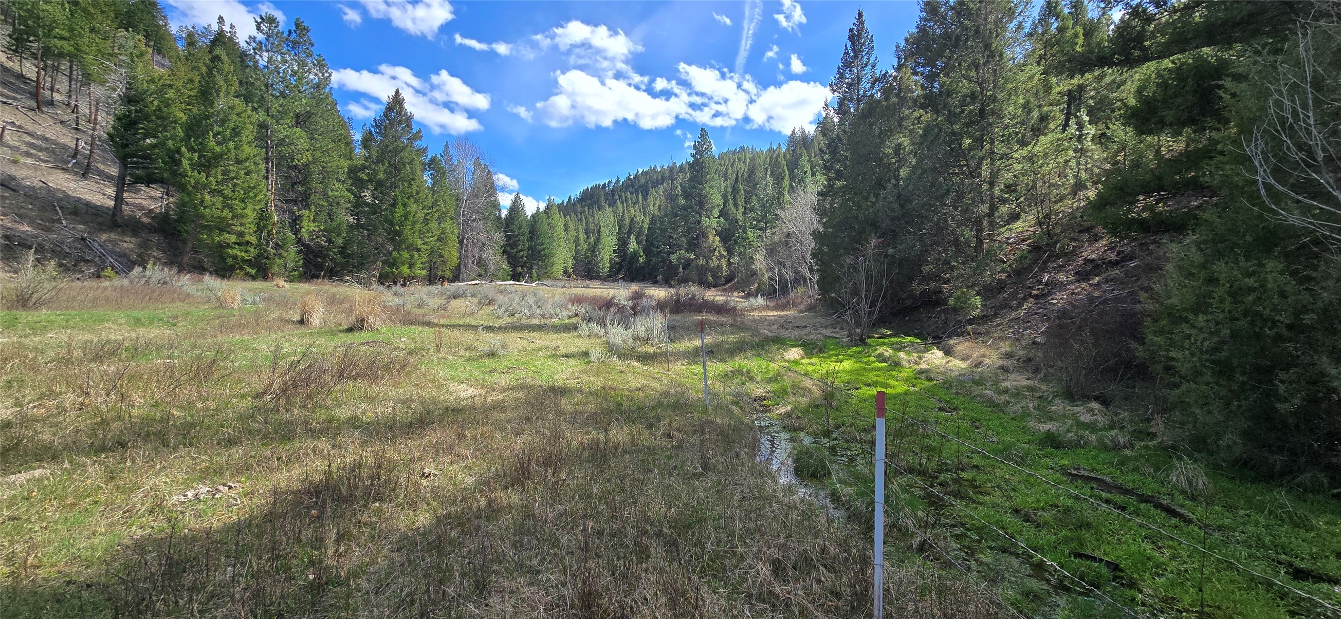 1 Tract, Bull Elk
