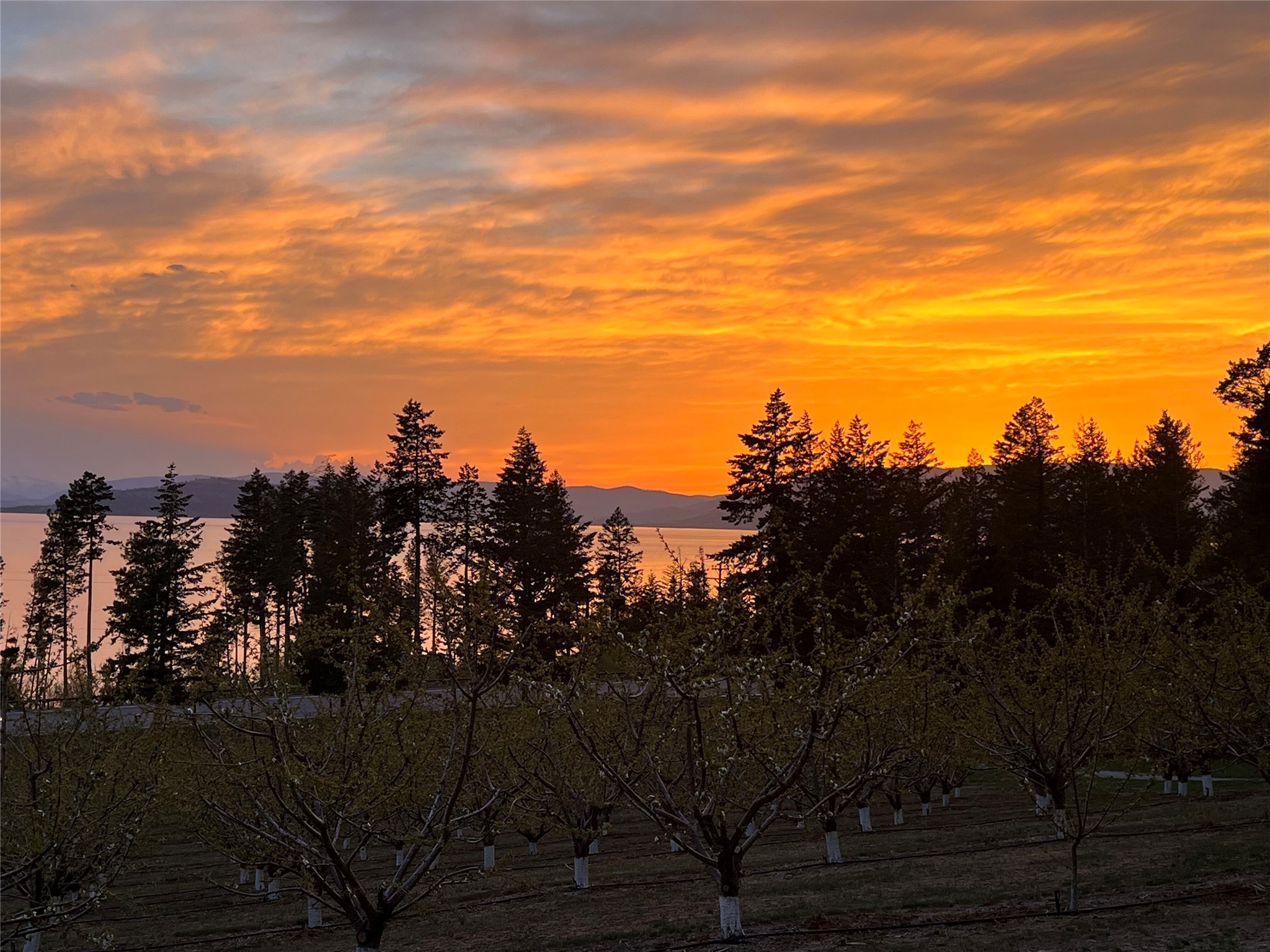 Bigfork, Montana 59911, United States, 3 Bedrooms Bedrooms, ,2 BathroomsBathrooms,Residential,Pending,190759