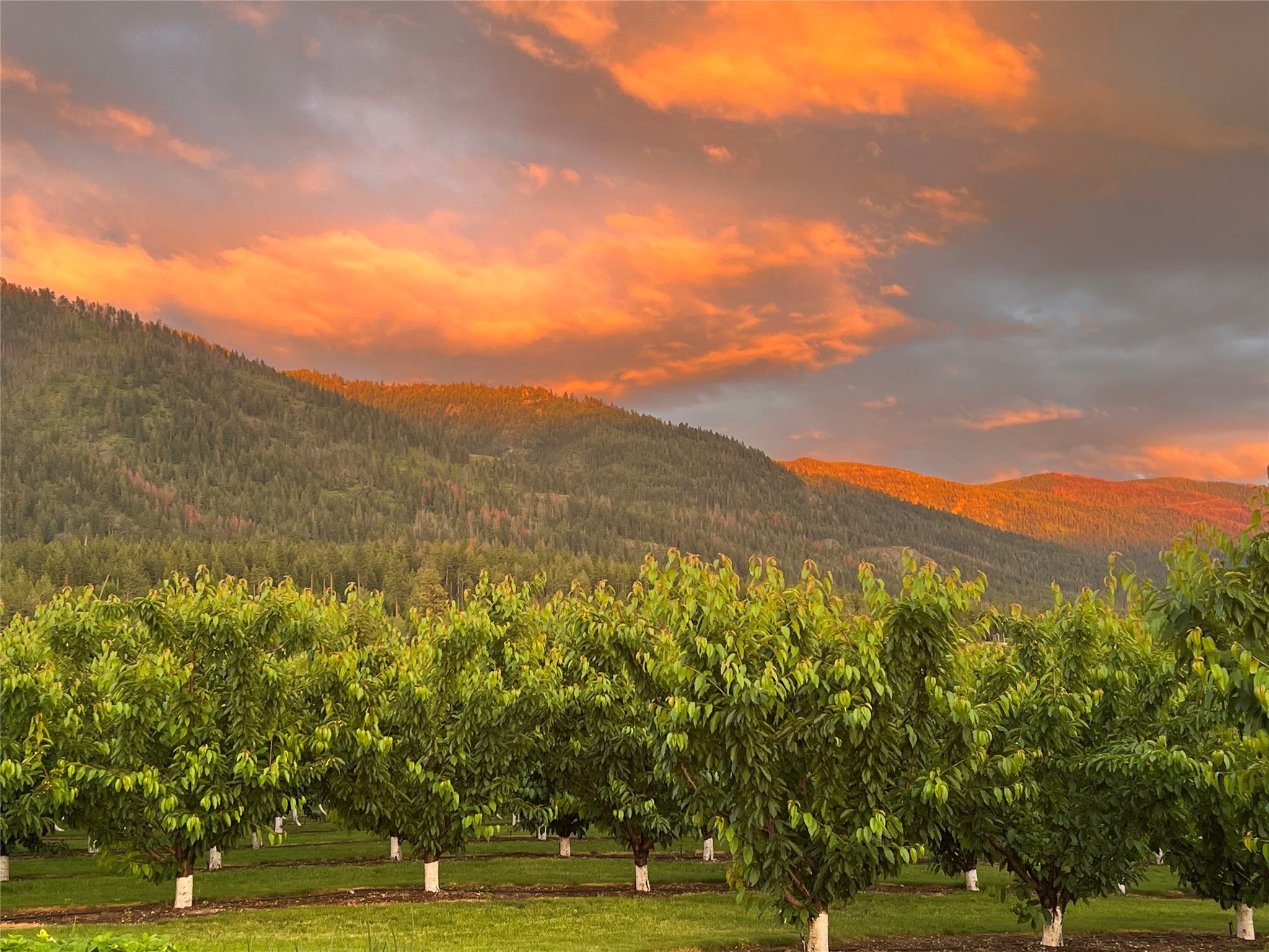 Bigfork, Montana 59911, United States, 3 Bedrooms Bedrooms, ,2 BathroomsBathrooms,Residential,Pending,190759