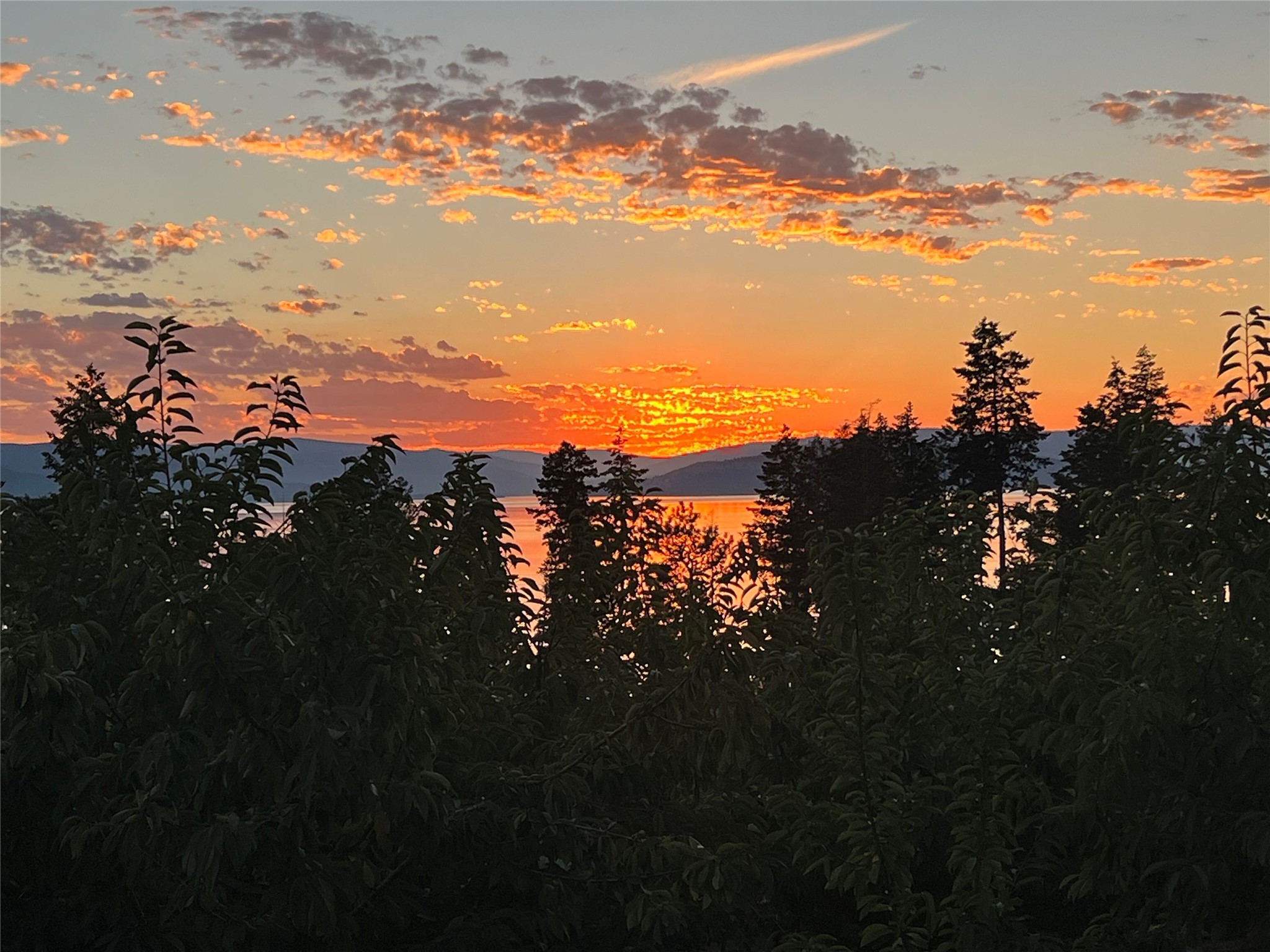 Bigfork, Montana 59911, United States, 3 Bedrooms Bedrooms, ,2 BathroomsBathrooms,Residential,Pending,190759