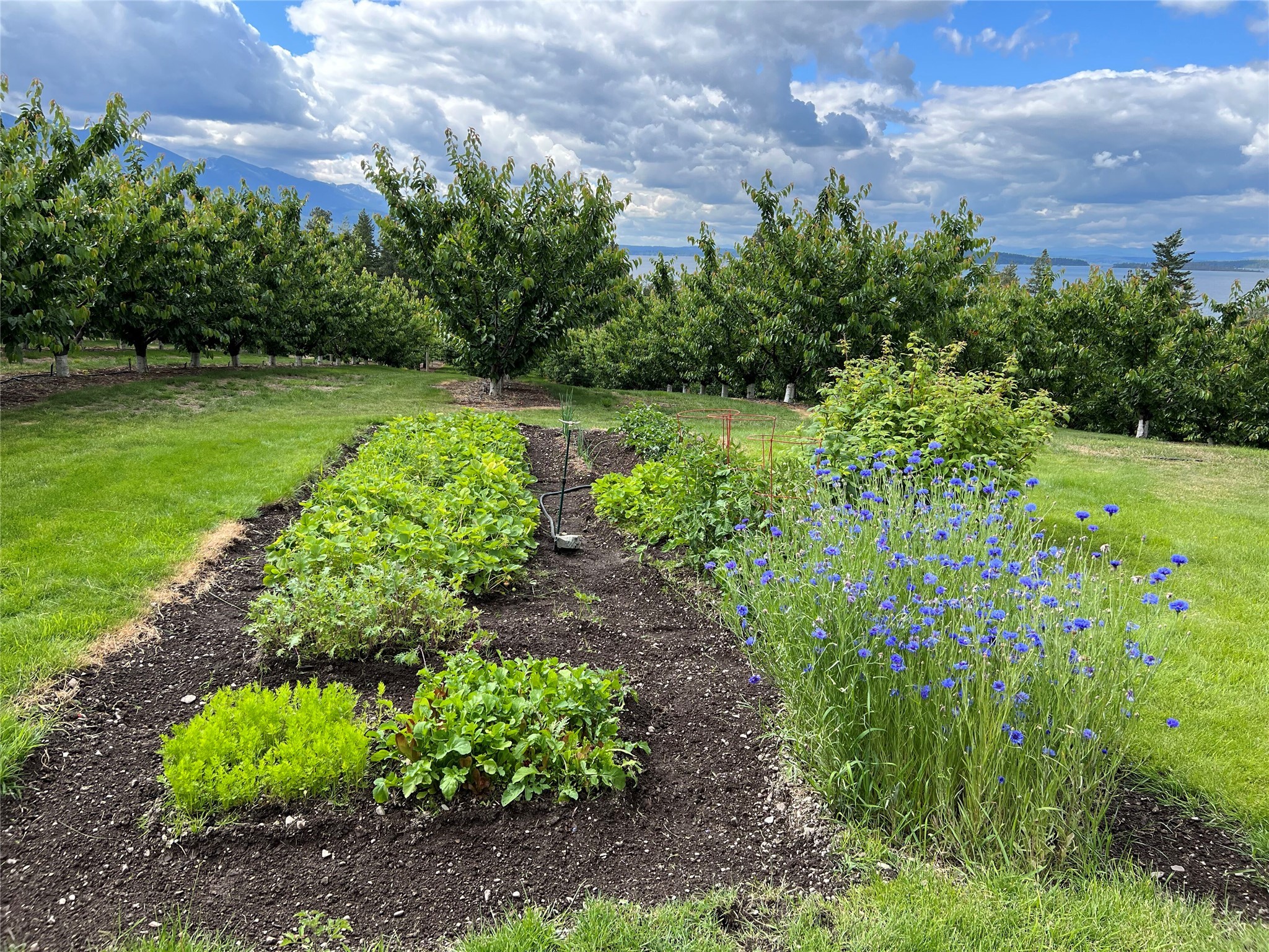 Bigfork, Montana 59911, United States, 3 Bedrooms Bedrooms, ,2 BathroomsBathrooms,Residential,Pending,190759