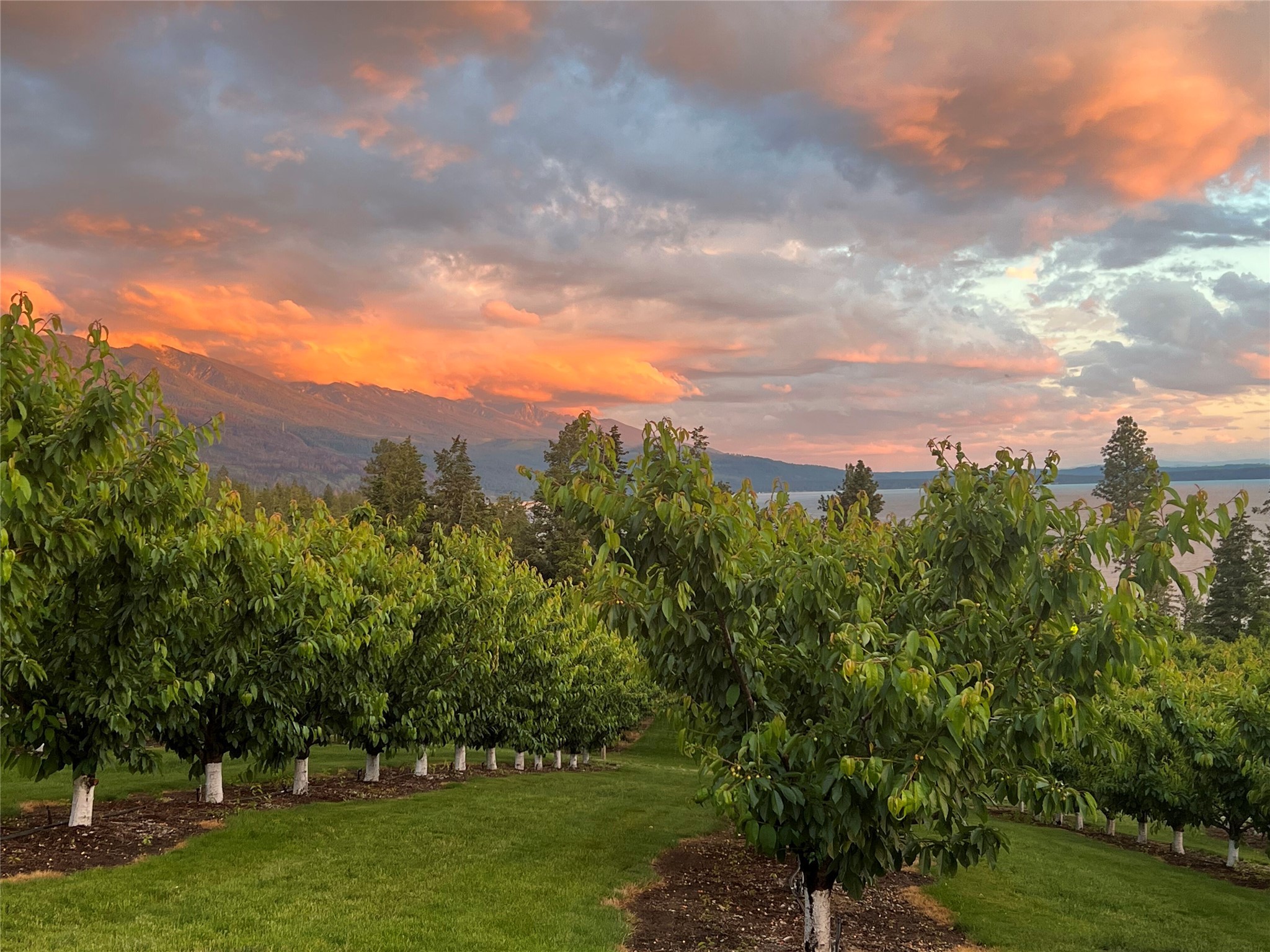 Bigfork, Montana 59911, United States, 3 Bedrooms Bedrooms, ,2 BathroomsBathrooms,Residential,Pending,190759