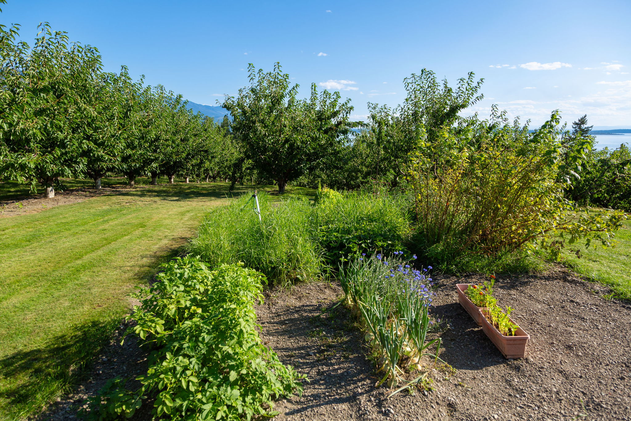 Bigfork, Montana 59911, United States, 3 Bedrooms Bedrooms, ,2 BathroomsBathrooms,Residential,Pending,190759