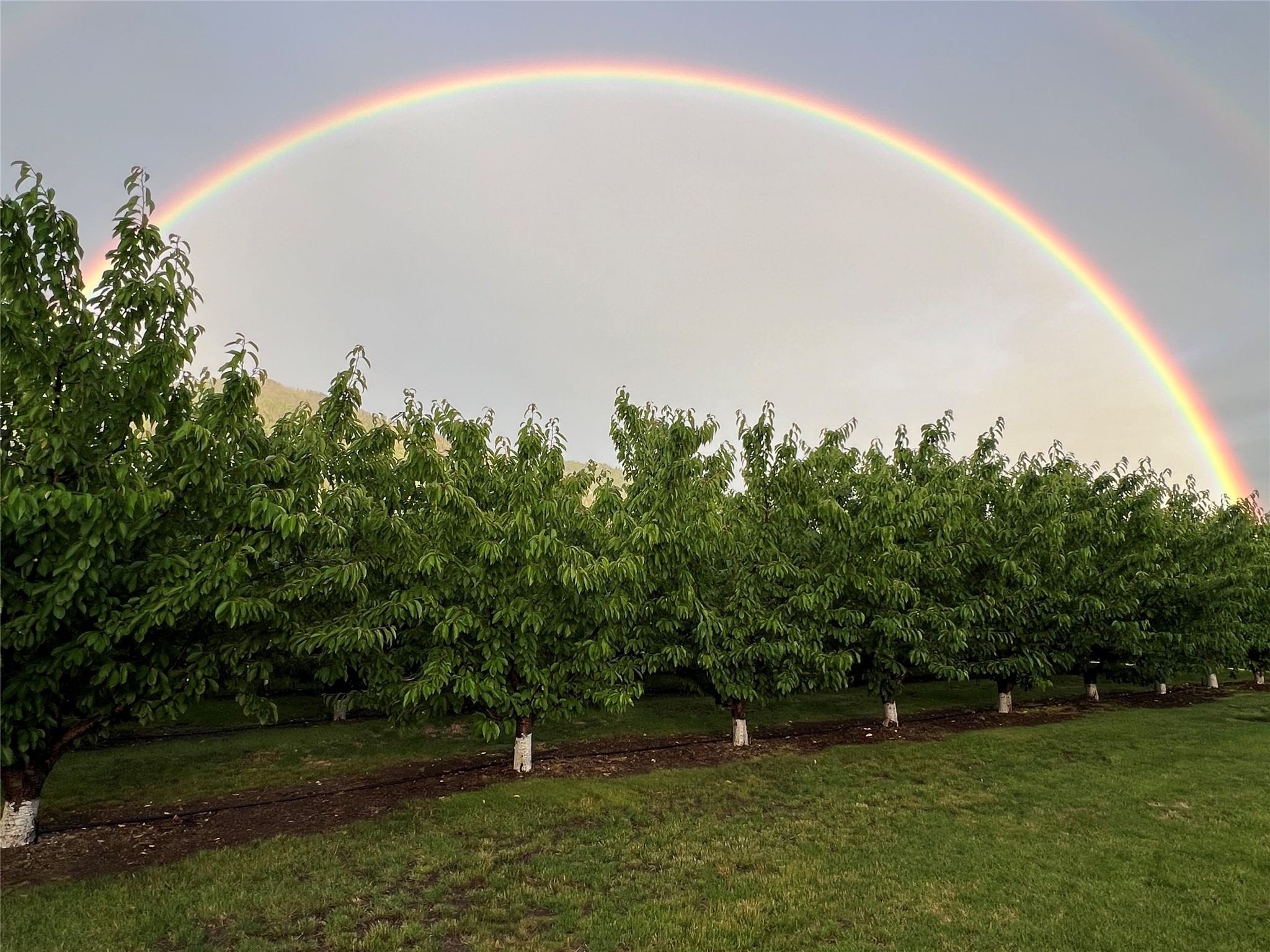 Bigfork, Montana 59911, United States, 3 Bedrooms Bedrooms, ,2 BathroomsBathrooms,Residential,Pending,190759