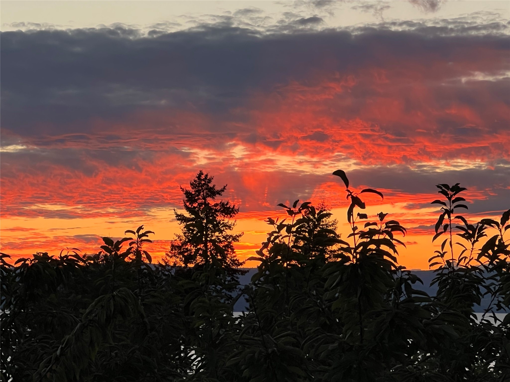 Bigfork, Montana 59911, United States, 3 Bedrooms Bedrooms, ,2 BathroomsBathrooms,Residential,Pending,190759