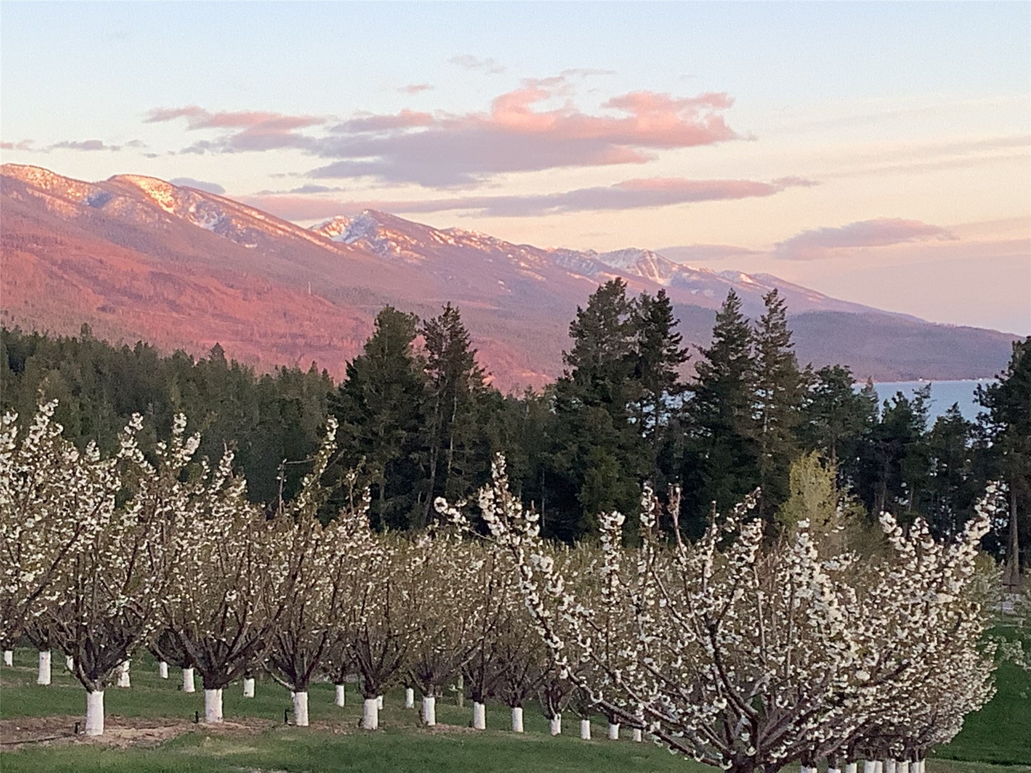 Bigfork, Montana 59911, United States, 3 Bedrooms Bedrooms, ,2 BathroomsBathrooms,Residential,Pending,190759