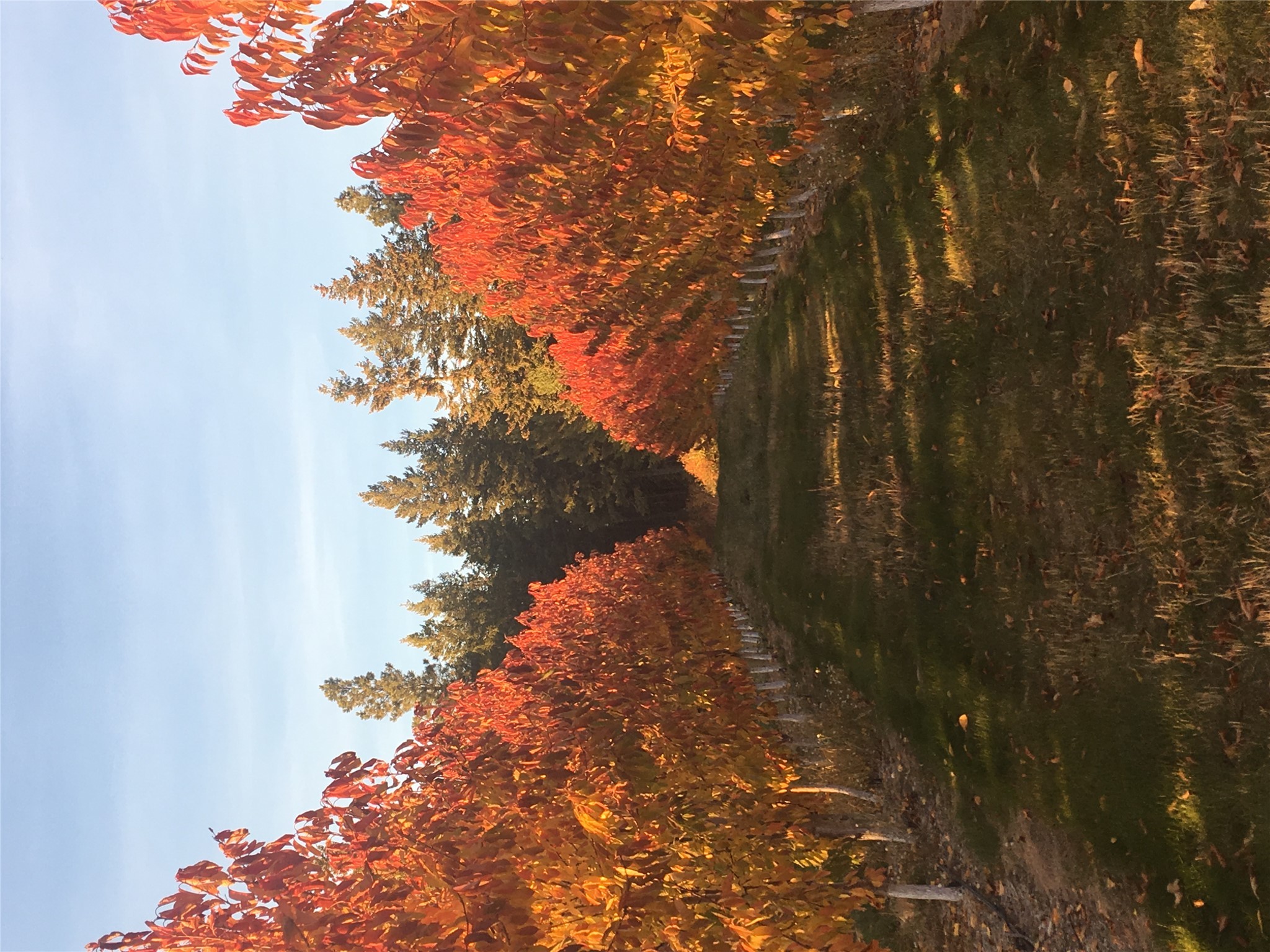 Bigfork, Montana 59911, United States, 3 Bedrooms Bedrooms, ,2 BathroomsBathrooms,Residential,Pending,190759