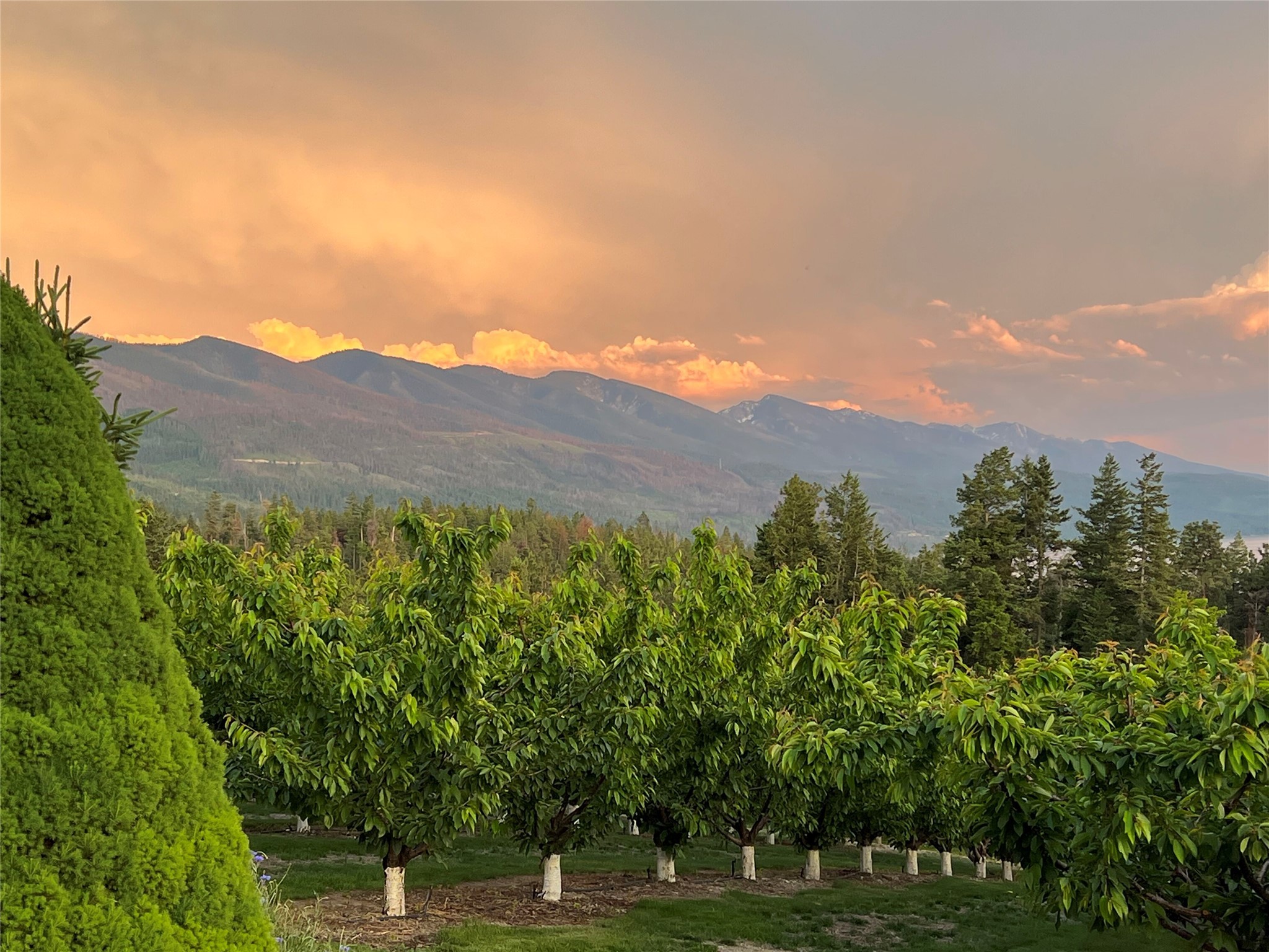 Bigfork, Montana 59911, United States, 3 Bedrooms Bedrooms, ,2 BathroomsBathrooms,Residential,Pending,190759