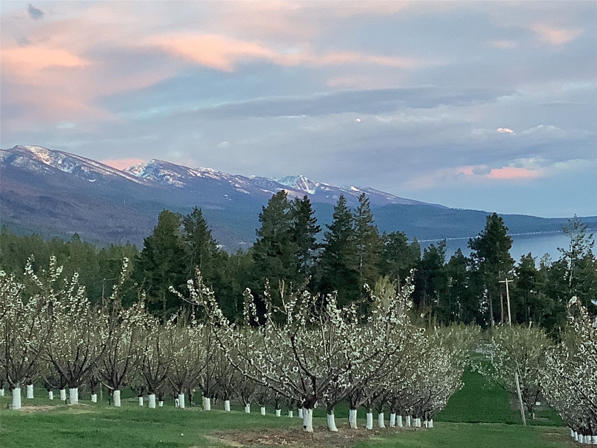 Bigfork, Montana 59911, United States, 3 Bedrooms Bedrooms, ,2 BathroomsBathrooms,Residential,Pending,190759