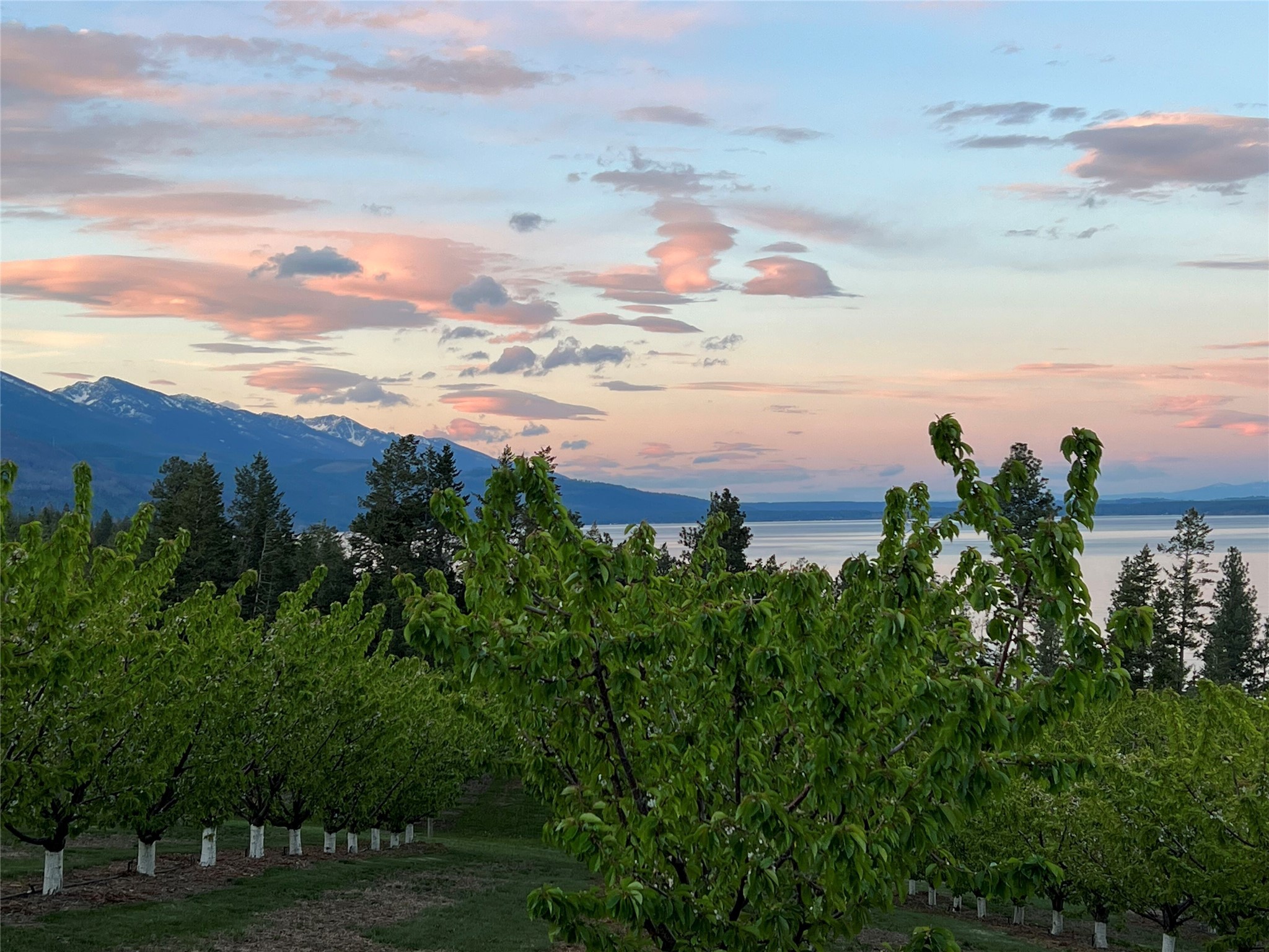 Bigfork, Montana 59911, United States, 3 Bedrooms Bedrooms, ,2 BathroomsBathrooms,Residential,Pending,190759