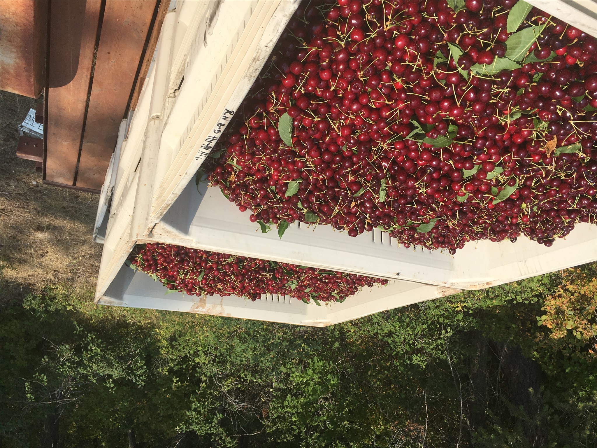 Bigfork, Montana 59911, United States, 3 Bedrooms Bedrooms, ,2 BathroomsBathrooms,Residential,Pending,190759