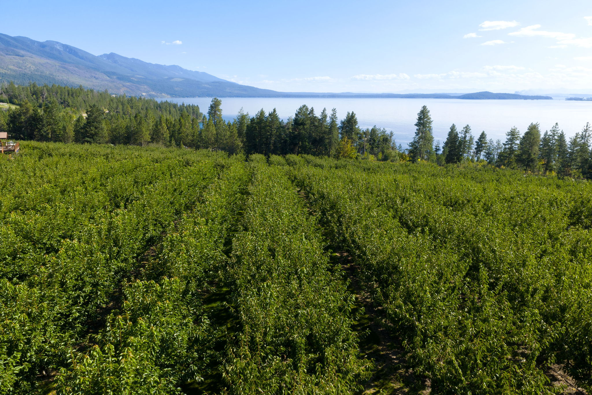 Bigfork, Montana 59911, United States, 3 Bedrooms Bedrooms, ,2 BathroomsBathrooms,Residential,Pending,190759