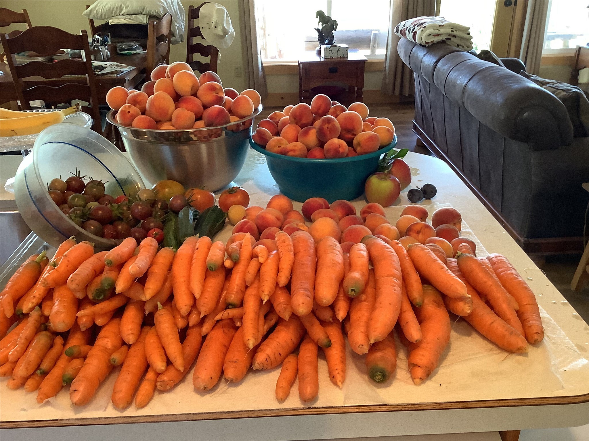 Bigfork, Montana 59911, United States, 3 Bedrooms Bedrooms, ,2 BathroomsBathrooms,Residential,Pending,190759