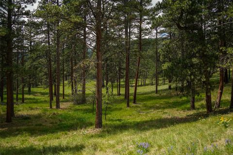 Tiny photo for Nhn Dry Smith Road, Victor, MT 59875 (MLS # 30071389)