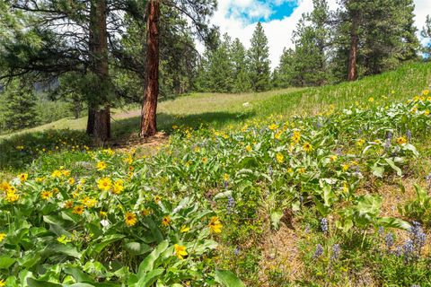 Tiny photo for Nhn Dry Smith Road, Victor, MT 59875 (MLS # 30071389)