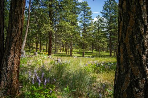 Tiny photo for Nhn Dry Smith Road, Victor, MT 59875 (MLS # 30071389)