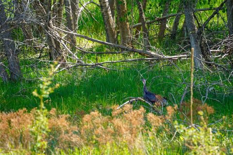 Tiny photo for Nhn Dry Smith Road, Victor, MT 59875 (MLS # 30071389)