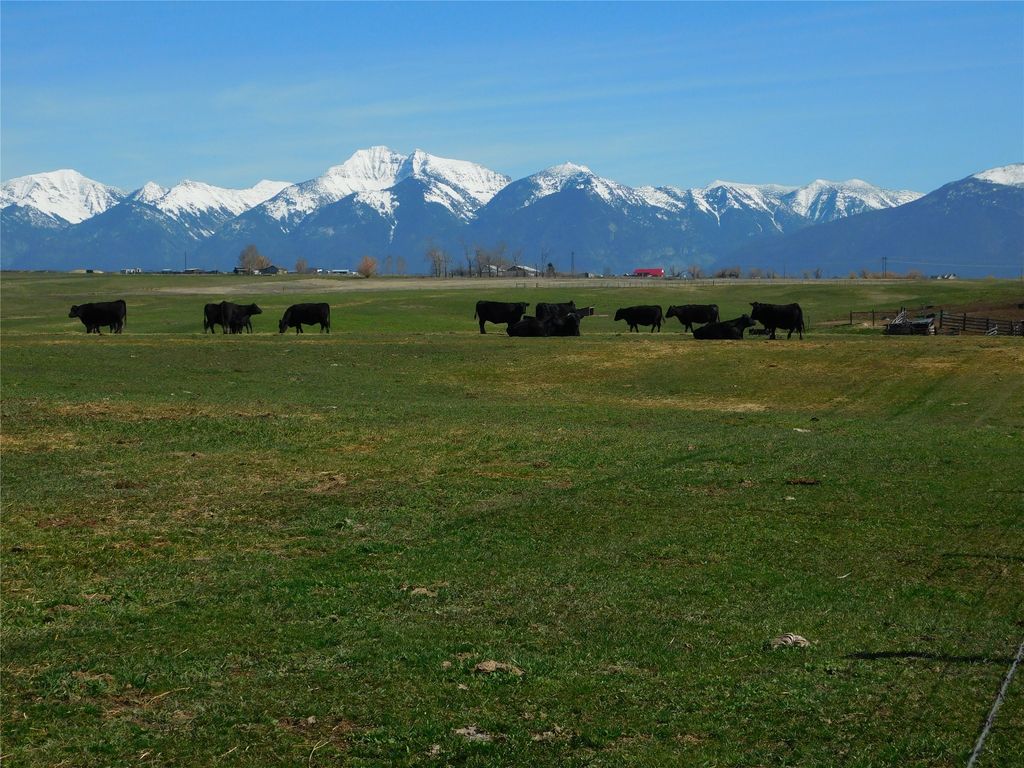 Photo of NHN Hwy 212, Charlo, MT 59824 (MLS # 30067579)
