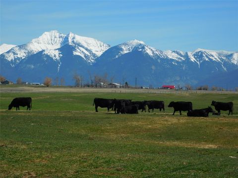 NHN Hwy 212 Charlo MT 59824