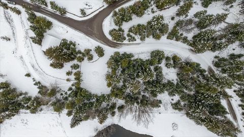 Photo of 101 Little Mountain Road, Whitefish, MT 59937 (MLS # 30066805)