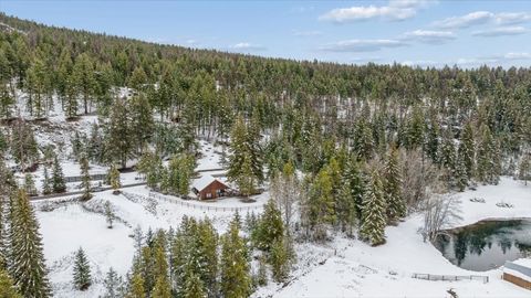 Tiny photo for 101 Little Mountain Road, Whitefish, MT 59937 (MLS # 30066805)